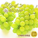 【ふるさと納税】<先行予約・訳あり>串間産シャインマスカット 計1.0kg以上(2房)【谷口農園】【TNBS2】