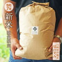 【ふるさと納税】令和7年産新米!串間産のお米「 夏の笑み 」(10kg)秋 旬 米 【鶴田農産】【KU296】