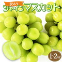 【ふるさと納税】<訳あり> シャインマスカット 約1kg〜2kg【KAZUSAN農園】【KZBSH】