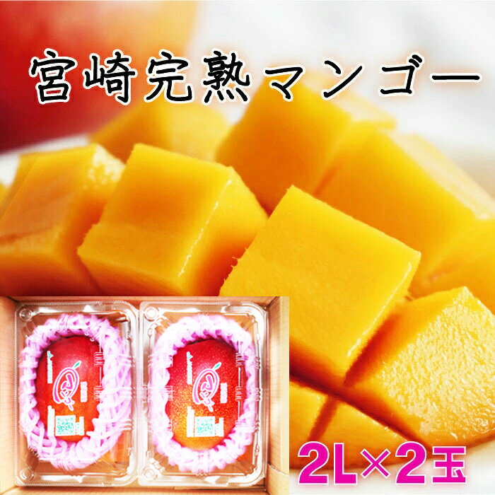 【ふるさと納税】【先行予約】＜期間限定・数量限定＞みやざき完熟マンゴー 約700g以上（2Lサイズ2個入[350g～459g]×2個） 宮崎県産の完熟マンゴー 【串間市大束農業協同組合】【KU394】のサムネイル