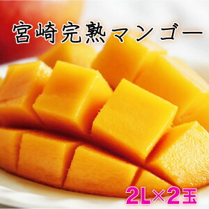 【ふるさと納税】＜先行予約受付中・数量限定＞宮崎完熟マンゴー 2L×2玉（350g～449g以上×2玉）宮崎県産の完熟マンゴー 季節の フルーツ 果物 くだもの まんごー【KU019】