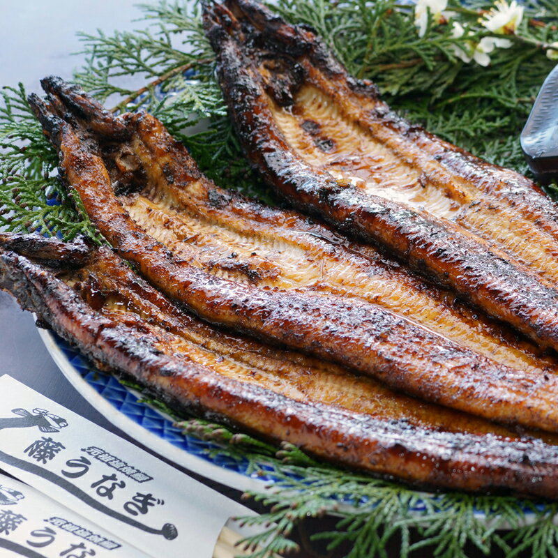 【ふるさと納税】藤うなぎ かば焼き（3尾）国産 うなぎ 手焼き 炭火焼 蒲焼 送料無料 宮崎県 西都市