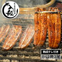 【ふるさと納税】炭火焼一筋125年「うなぎの入船」かば焼3尾...