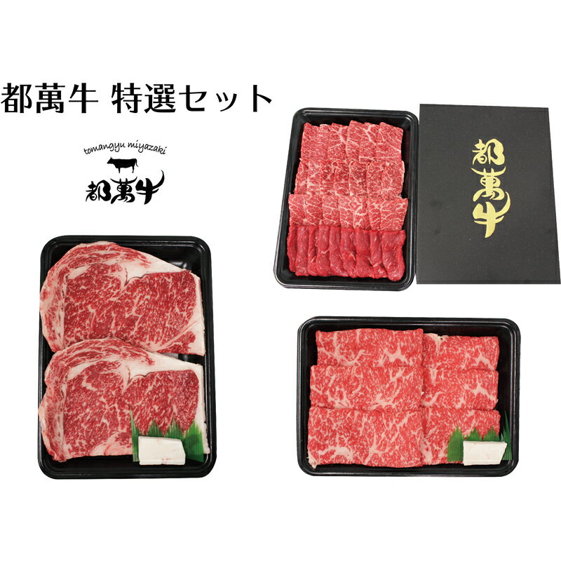 都萬牛 特選セット1kg(ステーキ・すき焼き しゃぶしゃぶ用スライス・焼肉) ふるさと納税 すき焼き しゃぶしゃぶ 焼肉 国産 牛肉 宮崎