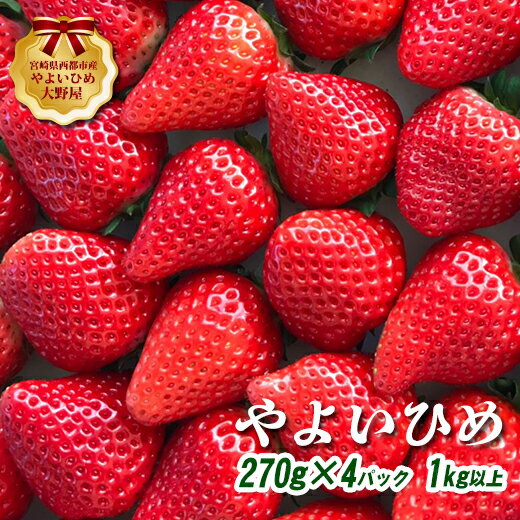 【ふるさと納税】苺大野屋「やよいひめ」270g×4パック（1kg）【先行予約】宮崎県西都市産