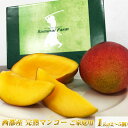 【ふるさと納税】宮崎完熟マンゴー(1kg)ご家庭用【鉢植栽培...