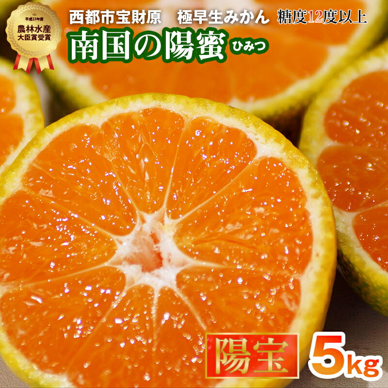 【ふるさと納税】西都産みかん「南国の陽蜜」『陽宝』5kg（宮崎県西都市 露地栽培 蜜柑 送料無料） さいと サイト