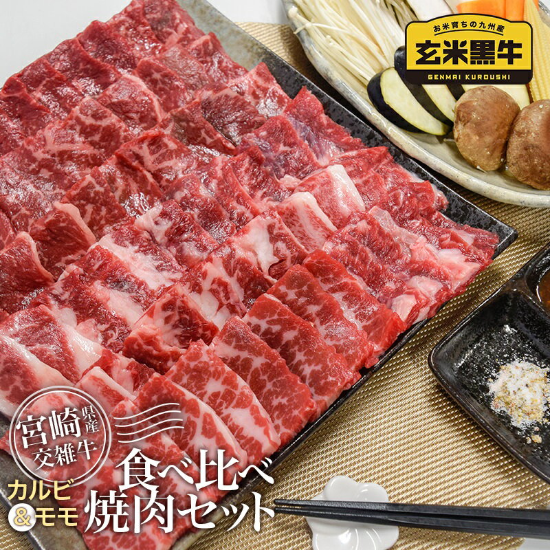 【ふるさと納税】宮崎県産『玄米黒牛』食べ比べ焼肉セット【1k