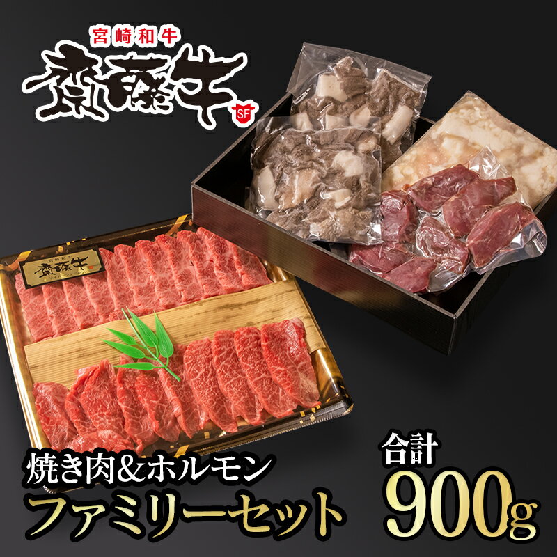 宮崎和牛 齋藤牛 焼肉&ホルモン(4種×5P)合計900gファミリーセット 国産 牛肉 ふるさと納税 焼肉[1.8-10]