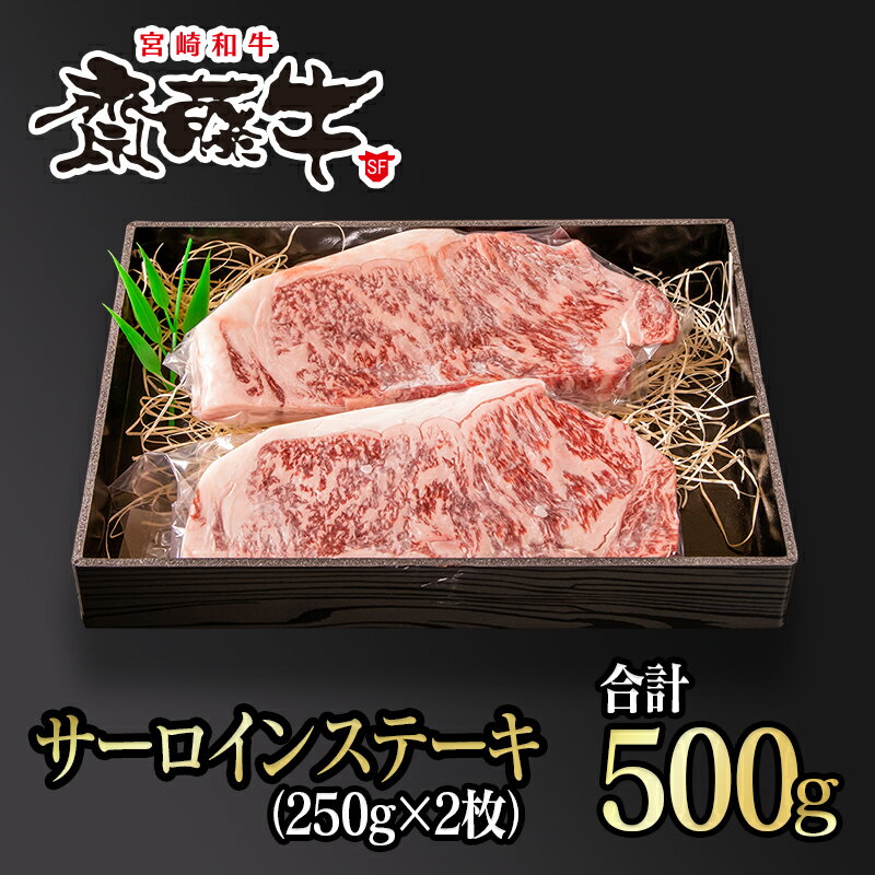 宮崎和牛 齋藤牛 サーロイン ステーキ(250g×2枚)国産 牛肉 ふるさと納税 ステーキ[4.3-3]