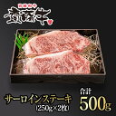 10位! 口コミ数「0件」評価「0」宮崎和牛 齋藤牛 サーロイン ステーキ（250g×2枚）国産 牛肉 ふるさと納税 ステーキ＜4.3-3＞