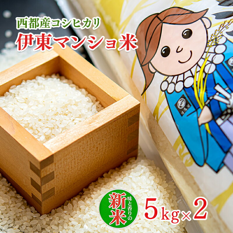 【ふるさと納税】令和6年産「新米」コシヒカリ5kg×2袋（10kg）「伊東マンショ米」 ふるさと納税 宮崎 米 西都市