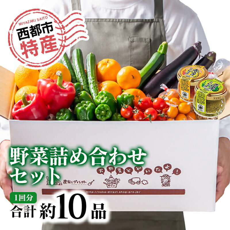 【ふるさと納税】野菜セット【先行予約】令和7年収穫分 旬の野菜と加工品セット<1-48>