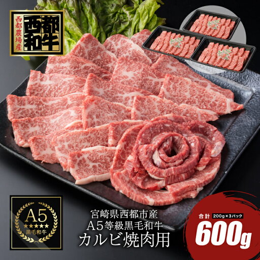 【ふるさと納税】宮崎県産黒毛和牛 カルビ焼肉600g(200g×3)〈1.9-5〉カミチクファーム 国産 牛肉 ふるさと納税 焼肉 BBQ 送料無料 【ふるさと納税】宮崎県産黒毛和牛 カルビ焼肉600g(200g×3)〈1.9-5〉カミチクファーム 国産 牛肉 ふるさと納税 焼肉 BBQ 送料無料
