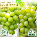 【ふるさと納税】『シャインマスカット』『翠峰』詰合せ(約2.2kg)食べ比べセット【先行予約】西都市 水間ぶどう