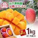 【ふるさと納税】山下果樹園 完熟マンゴー1kg「訳あり」3〜5玉 宮崎県 西都産<1.5-25>【先行予約】令和8年収穫分 果物 フルーツ