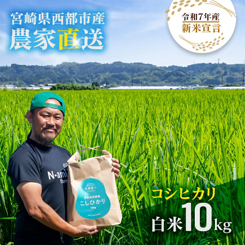 【ふるさと納税】【令和7年産新米・先行予約】こしひかり 10kg 「※8月上旬以降順次発送予定」　精米済み＜2.4-8＞白米 早場米 夏収穫 送料無料 コシヒカリ 農家直送のサムネイル