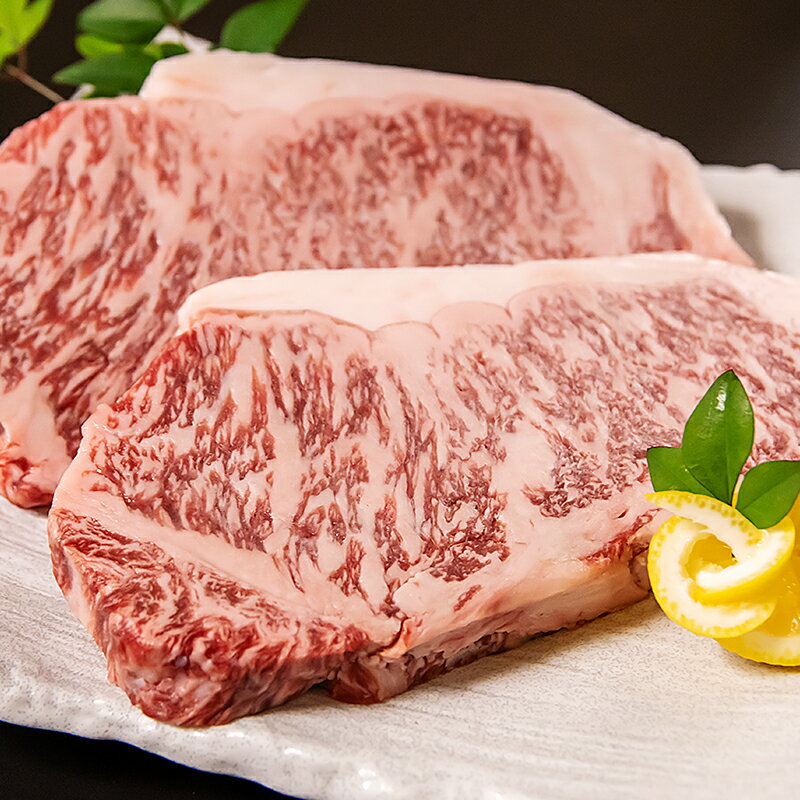 【ふるさと納税】宮崎和牛 齋藤牛 サーロイン ステーキ（250g×2枚）国産 牛肉 ふるさと納税 ステーキ＜4.3-3＞