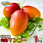 【ふるさと納税】杉田農園 完熟マンゴー約1kg「訳あり」ご家庭用（西都産）＜1.1-1＞ふるさと納税 訳あり 宮崎県 西都市産