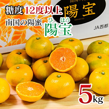 【ふるさと納税】西都産みかん「南国の陽蜜」『陽宝』5kg（宮崎県西都市 露地栽培 蜜柑 送料無料）