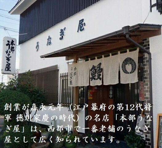 【ふるさと納税】西都市 本部うなぎ屋 鰻の蒲焼（3尾） 国産 うなぎ 手焼き 真空パック 小分け 送料無料 宮崎県 西都市