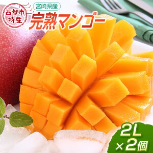 【マンゴー】ふるさと納税の返礼品で人気！美味しいマンゴーのおすすめを教えてください！