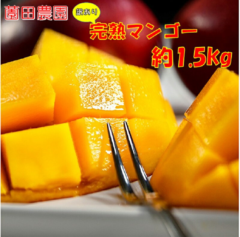 【ふるさと納税】「薗田農園」訳あり 宮崎完熟マンゴー 1.5kg(3〜5玉)「楽天限定」西都市 マンゴーR8年収穫分「先行予約」 果物 フルーツ<1.8-30>