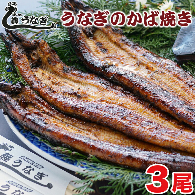 藤うなぎ かば焼き(3尾)国産 うなぎ 手焼き 炭火焼 蒲焼 送料無料 宮崎県 西都市