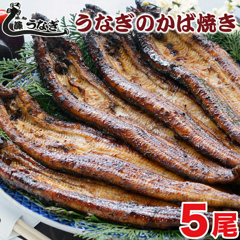 【ふるさと納税】藤うなぎ　かば焼き（5尾） 国産うなぎ 手焼き 炭火焼 送料無料 冷蔵 蒲焼 宮崎県 西都市