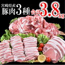 【ふるさと納税】宮崎県産 豚肉【 3