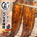 炭火焼一筋130年「うなぎの入船」かば焼3尾（熟成たれ付）国産 うなぎ 手焼き 備長炭 炭火焼 小分け 真空パック 送料無料