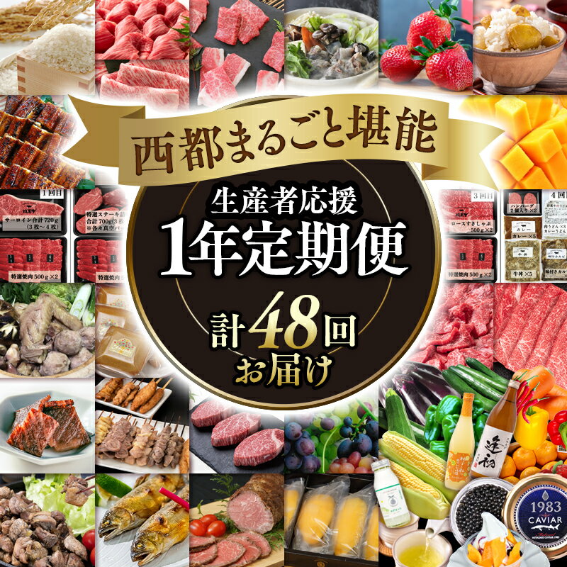 【ふるさと納税】【定期便 （48品）12ヶ月】西都まるごと1年間 堪能定期便プレミアムコースF ＜100-3＞ 1年間 ふるさと納税 定期便 お楽しみ すき焼き ステーキ 牛肉 豚肉 鶏肉 マンゴー みかん いちご 野菜 米 うなぎ キャビア