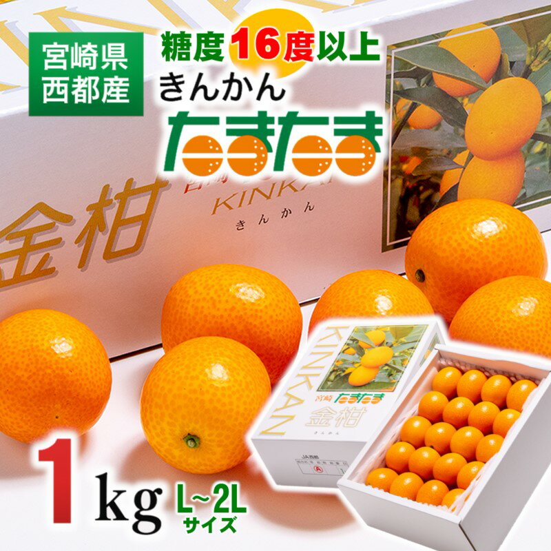 【ふるさと納税】完熟きんかん たまたま1kg 宮崎県 西都市 柑橘 限定のサムネイル