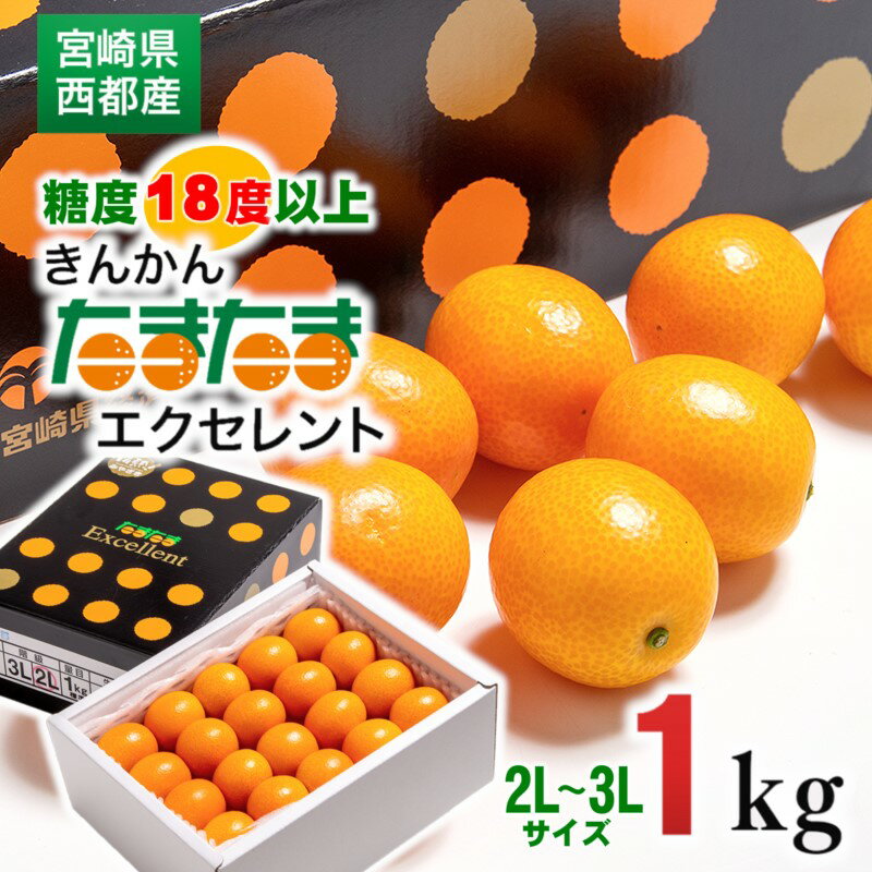 【ふるさと納税】完熟きんかん「たまたま」エクセレント1kg 宮崎県 西都市 数量限定 化粧箱 宮崎ブランド完熟きんかん 丸かじり 果物 フルーツのサムネイル