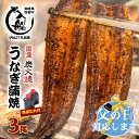 【ふるさと納税】炭火焼一筋130年「うなぎの入船」かば焼3尾(熟成たれ付)国産 うなぎ 手焼き 備長炭 炭火焼 小分け 真空パック 送料無料 さいとし サイト ...