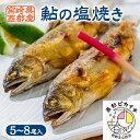 【ふるさと納税】鮎の塩焼きギフト(5~8尾入り)個包装 あゆ 宮崎県 西都市「西都ピカイチ認定品」<1.1-35>