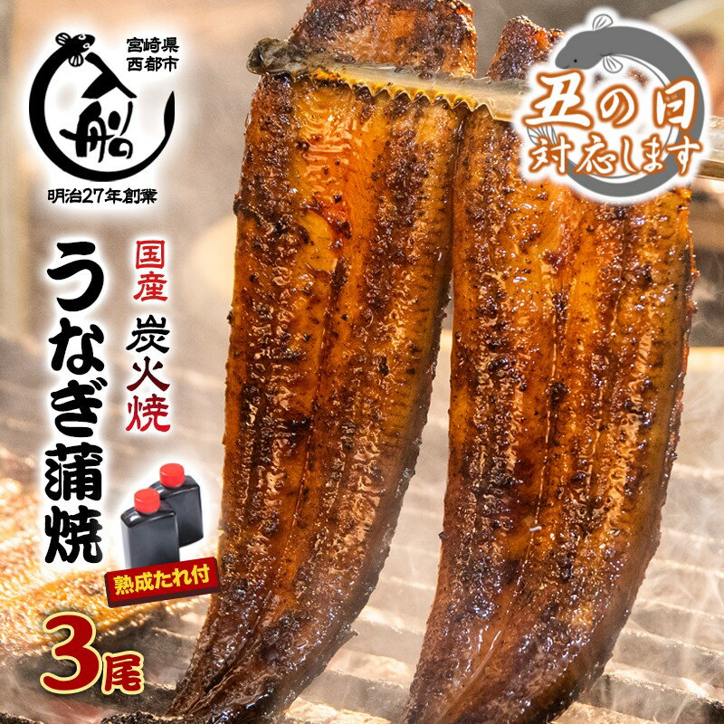 【ふるさと納税】炭火焼一筋127年「うなぎの入船」かば焼3尾（熟成たれ付）国産 うなぎ 手焼き 備長炭 炭火焼 小分け 真空パック 送料無料のサムネイル