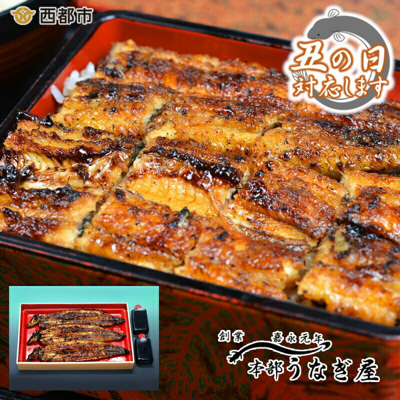 西都市 本部うなぎ屋 鰻の蒲焼(3尾) 国産 うなぎ 手焼き 真空パック 小分け 送料無料 宮崎県 西都市[4.6-1]「西都市ピカイチ認証品」丑の日までのお届け分受付中
