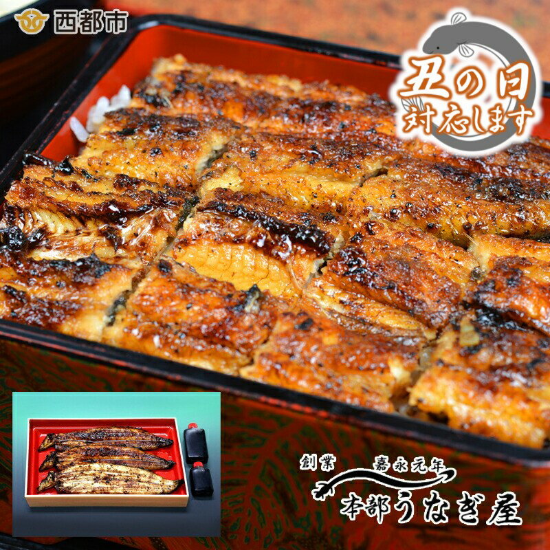 本部うなぎ屋 鰻の蒲焼(2尾)白焼き(1尾)セット 国産 うなぎ 手焼き 食べ比べ 送料無料 小分け 真空パック「西都市ピカイチ認証品」丑の日までのお届け企画受付中