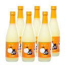 【ふるさと納税】「柚子」リキュール選べる(500ml or 1,800ml)×6本「ゆずにゃん」やまや蒸留所 焼酎 フルーツ 宮崎 お酒