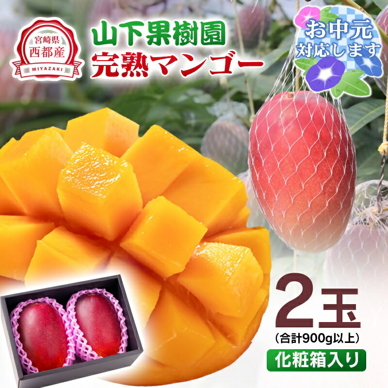 【ふるさと納税】山下果樹園 完熟マンゴー「2玉」 900g以上 宮崎県 西都産 化粧箱＜1.8-17＞令和7年収穫分 先行予約 お中元対応可のサムネイル