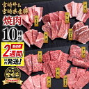 【ふるさと納税】「最速便」10種盛り焼肉(合計600g)(牛300g・豚300g)「宮崎牛」「宮崎県産豚肉」食べ比べ「数量限定」3D冷凍 ふるさと納税 宮崎牛 ...