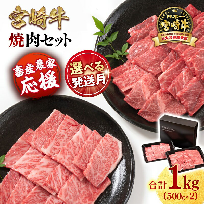 【ふるさと納税】「宮崎牛」焼肉セット 合計1kg『畜産農家応援』「数量限定」令和7年度和牛肉販売促進等支援緊急対策事業 宮崎県 西都市 赤身と肩ロース 牛 肉 牛肉 国産 宮崎牛 焼肉 黒毛和牛 数量限定 ミヤチク ＜1.7-40＞ ●【10月より寄附金額見直し】のサムネイル