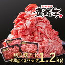 【ふるさと納税】宮崎和牛「齋藤牛」切り落とし1.2kg（400g×3パック）国産 牛肉 小分け 訳あり＜1.8-9＞ 1