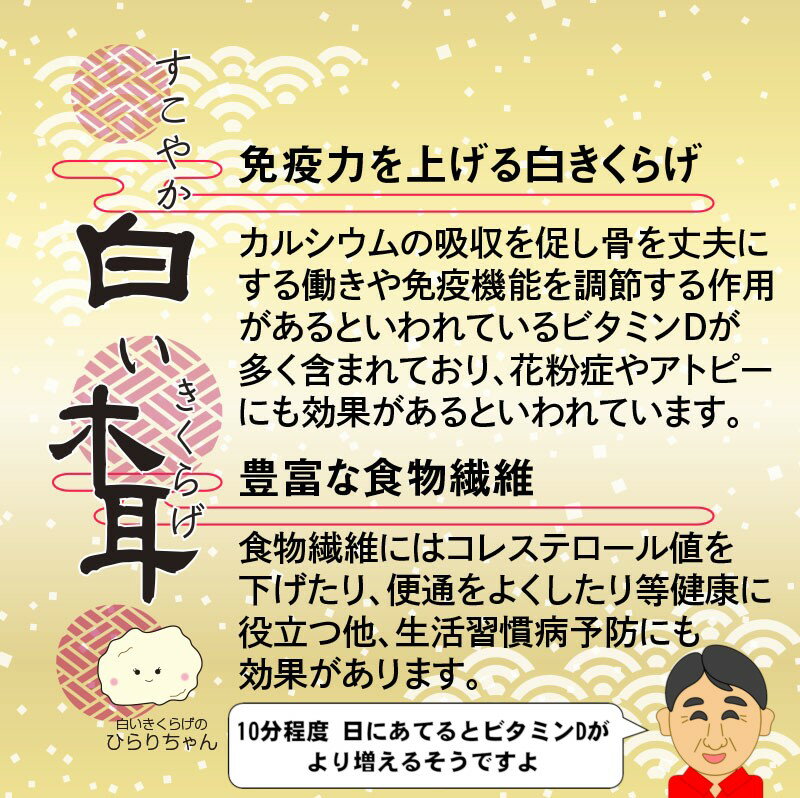 【ふるさと納税】「国産」白いきくらげ粉末（80g）/菌床栽培/農薬不使用/宮崎県西都市産