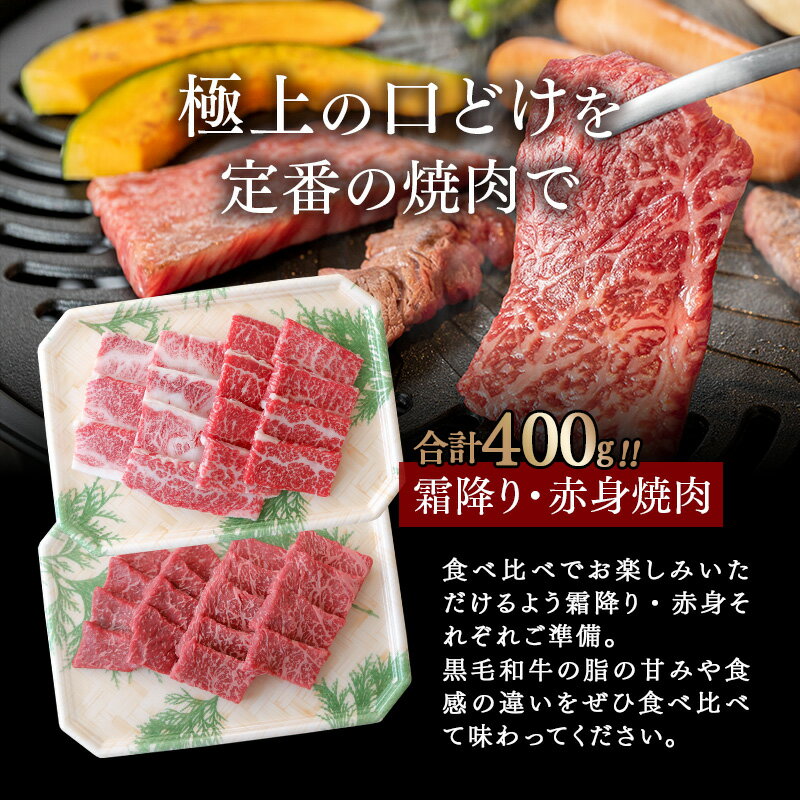【ふるさと納税】国産黒毛和牛『上村和牛』希少部位ステーキ＆食べ比べ焼肉セット600g（焼肉400g・希少部位ステーキ200g）〈1.9-16〉 ふるさと納税 ステーキ 黒毛和牛 焼肉 国産 宮崎県産 牛肉 送料無料＜1.9-16＞