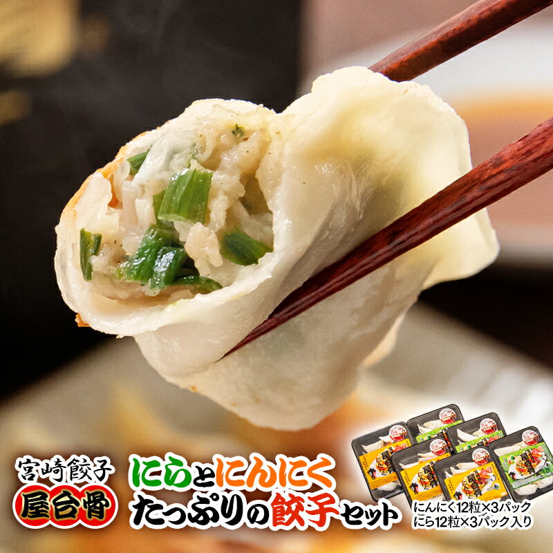 【ふるさと納税】「宮崎餃子」屋台骨 にらたっぷり餃子3P と にんにく餃子3P（合計：12個入×6Pタレ付）セット 冷凍 ぎょうざ 惣菜のサムネイル