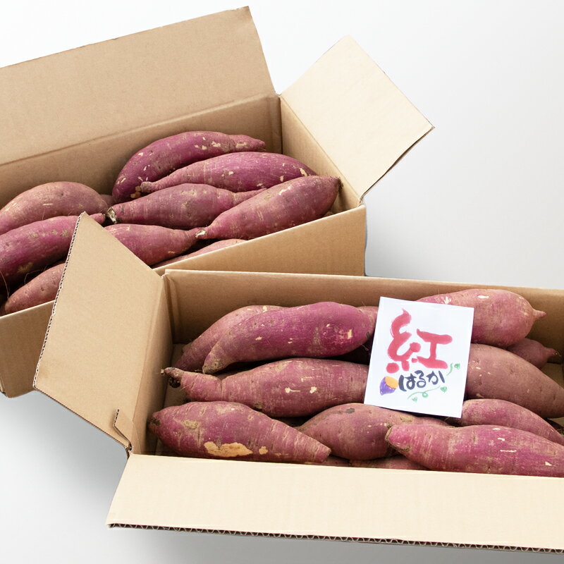 【ふるさと納税】【訳あり】熟成 さつま芋 紅はるか 10kg（5kg×2箱）M～3L 宮崎県 西都市産 さつまいも 甘藷 土付き 芋 先行予約★