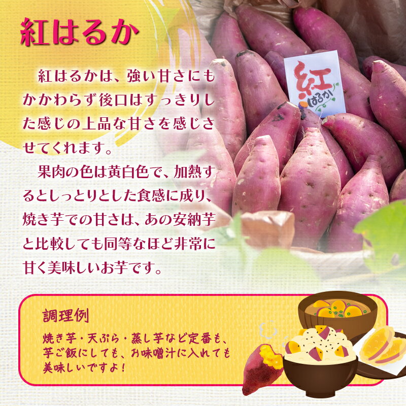 【ふるさと納税】【訳あり】熟成 さつま芋 紅はるか 10kg（5kg×2箱）M～3L 宮崎県 西都市産 さつまいも 甘藷 土付き 芋 先行予約★