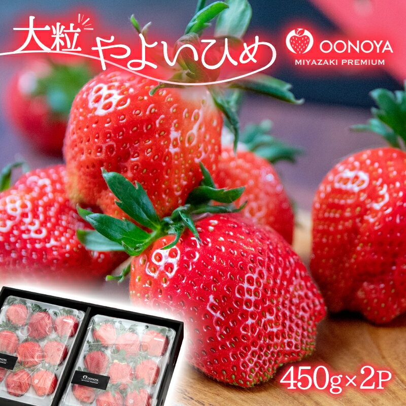 苺大野屋　厳選大粒いちご「やよいひめ」(450g×2）宮崎県 西都市 イチゴ